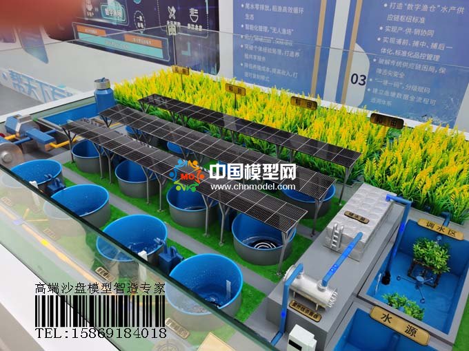 數字養(yǎng)殖沙盤模型，稻魚共生模式打造數字漁業(yè)樣板